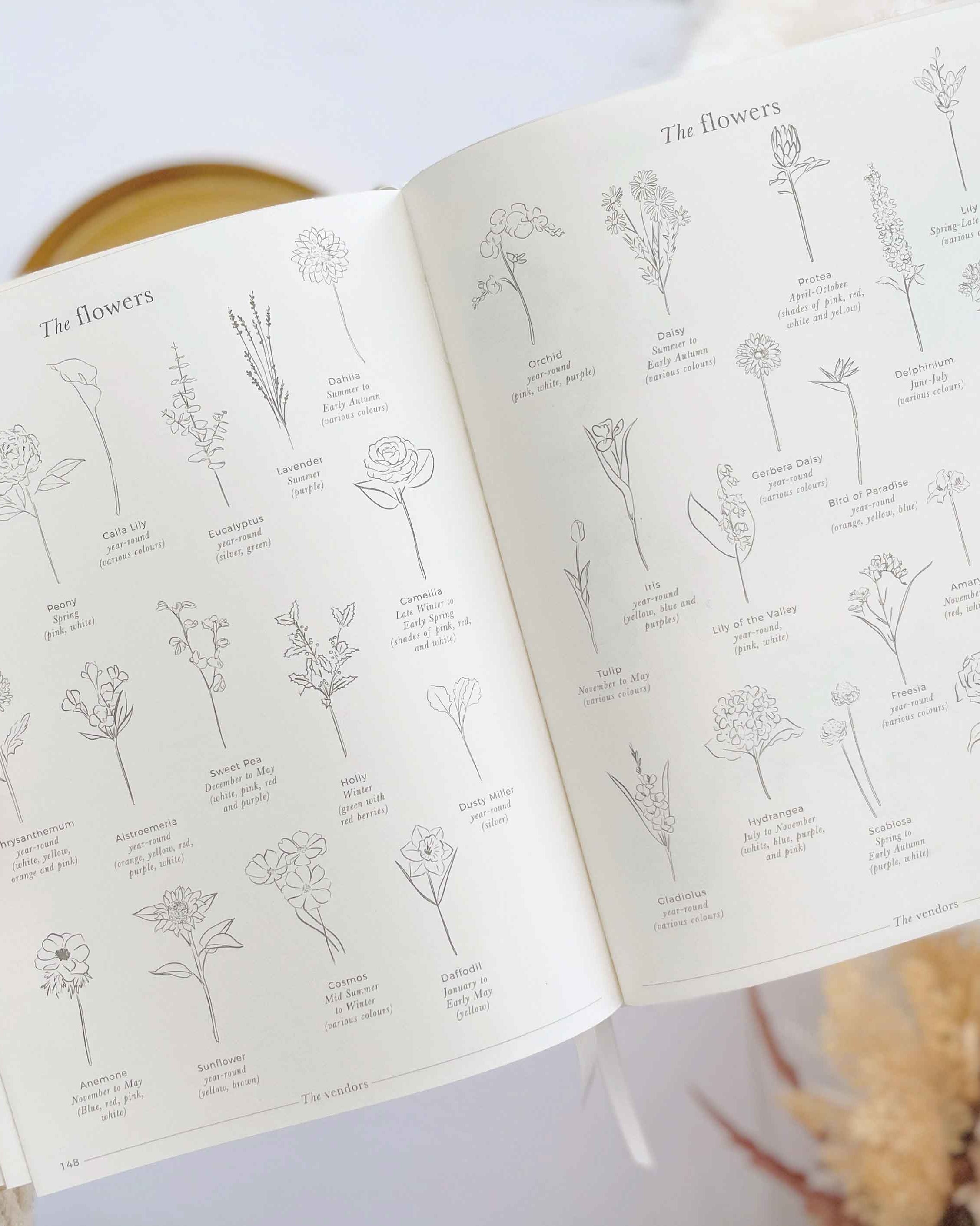 Wedding Planner Book - Ivory Cloth, Gold Foil with Gilded Edges