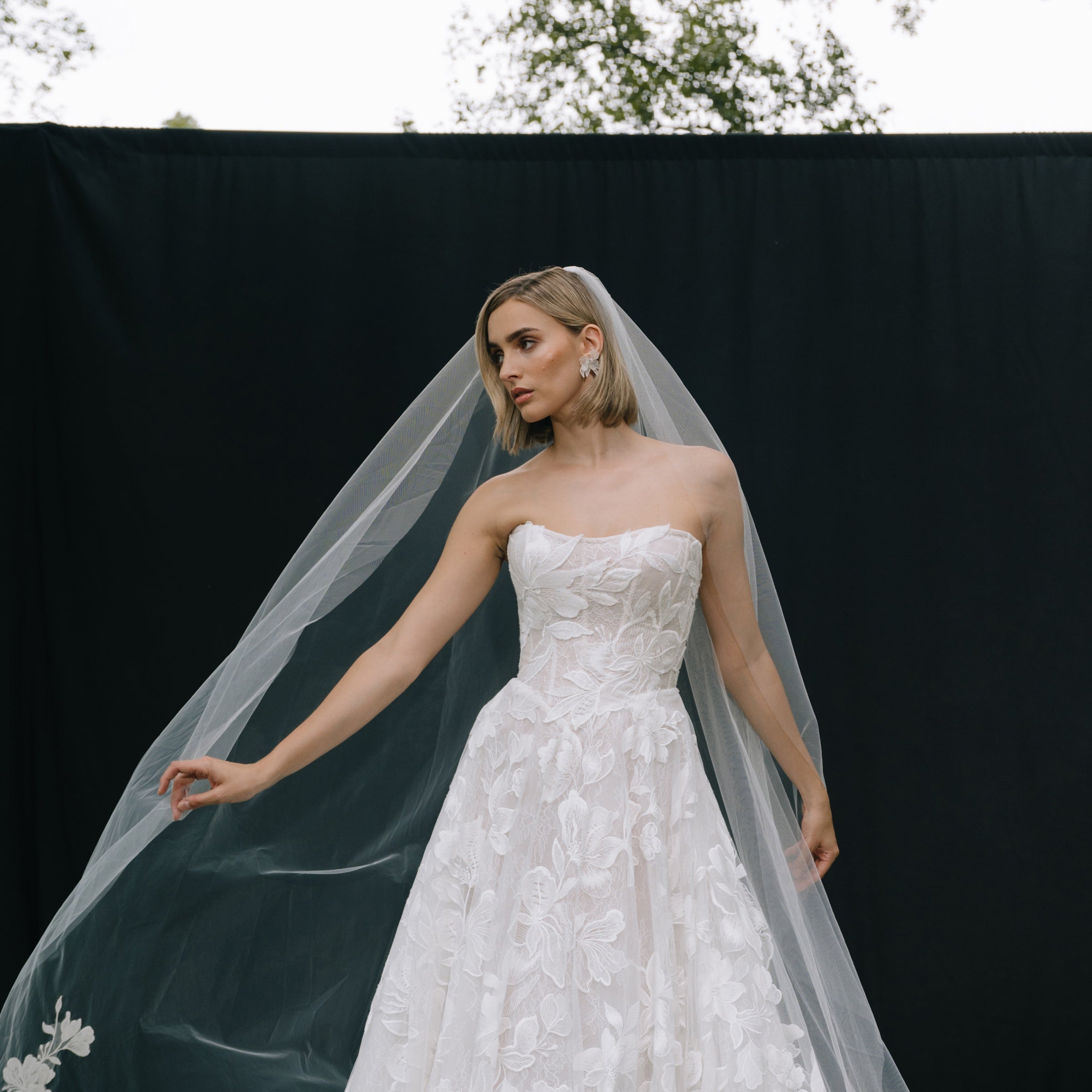 GWENDOLYN VEIL