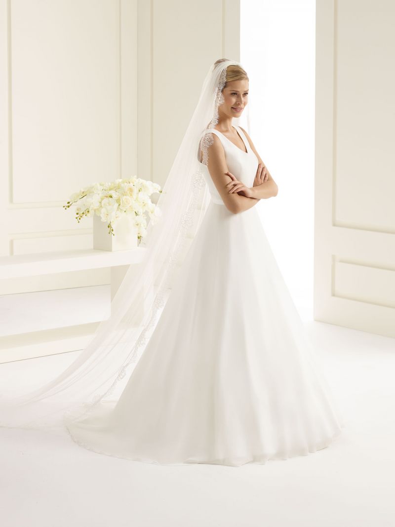 VEIL WITH DELICATE LACE TRIM | 250CM