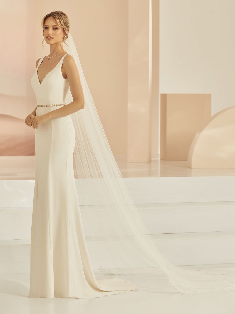 VEIL WITH SCATTERED LACE DETAIL | 300CM
