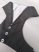 GREY DOG TUXEDO