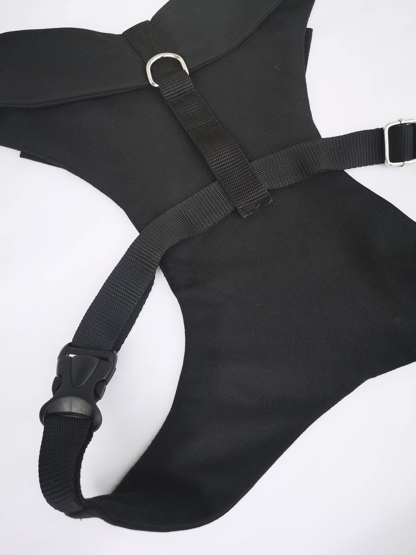 BLACK DOG TUXEDO