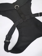 BLACK DOG TUXEDO