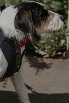 DOG RING BEARER ATTACHMENT