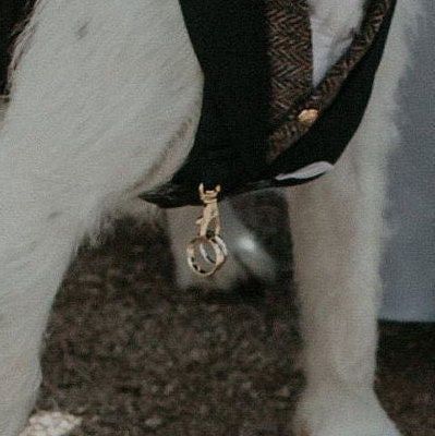 DOG RING BEARER ATTACHMENT