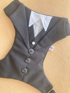 BLACK DOG TUXEDO