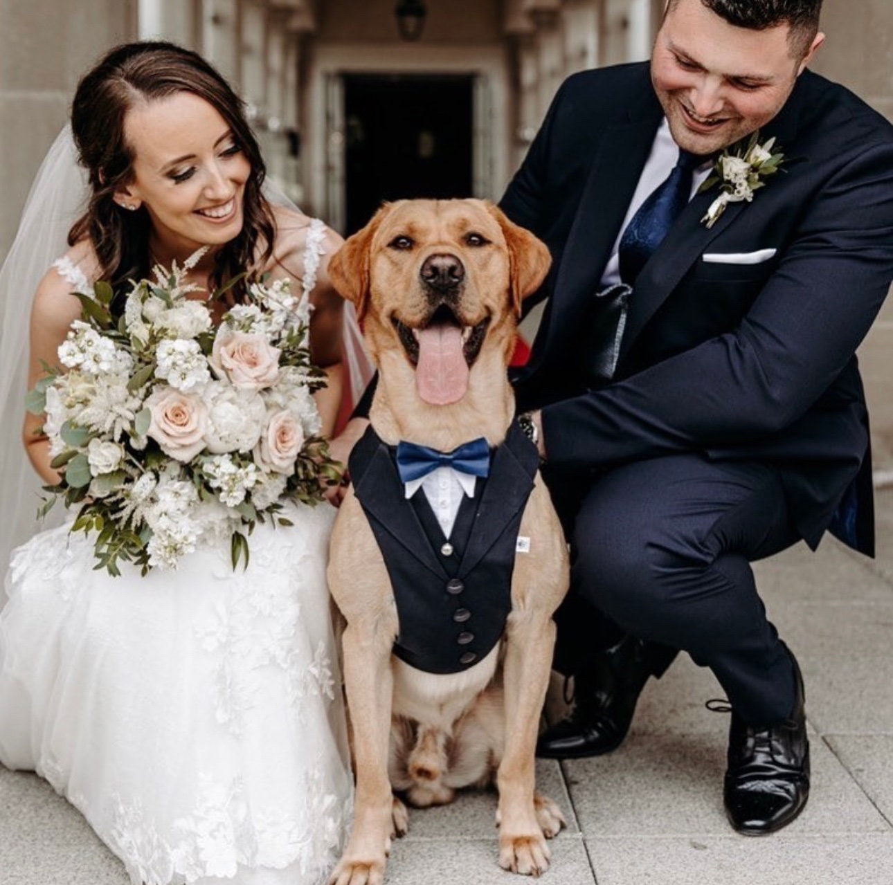 Navy Dog Tuxedo