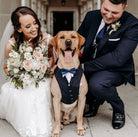Navy Dog Tuxedo