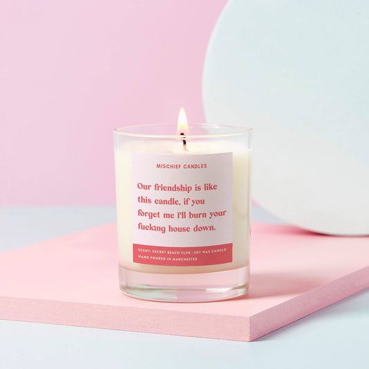 Funny Candle - Our friendship is like this candle, forget me and I'll burn your fucking house down