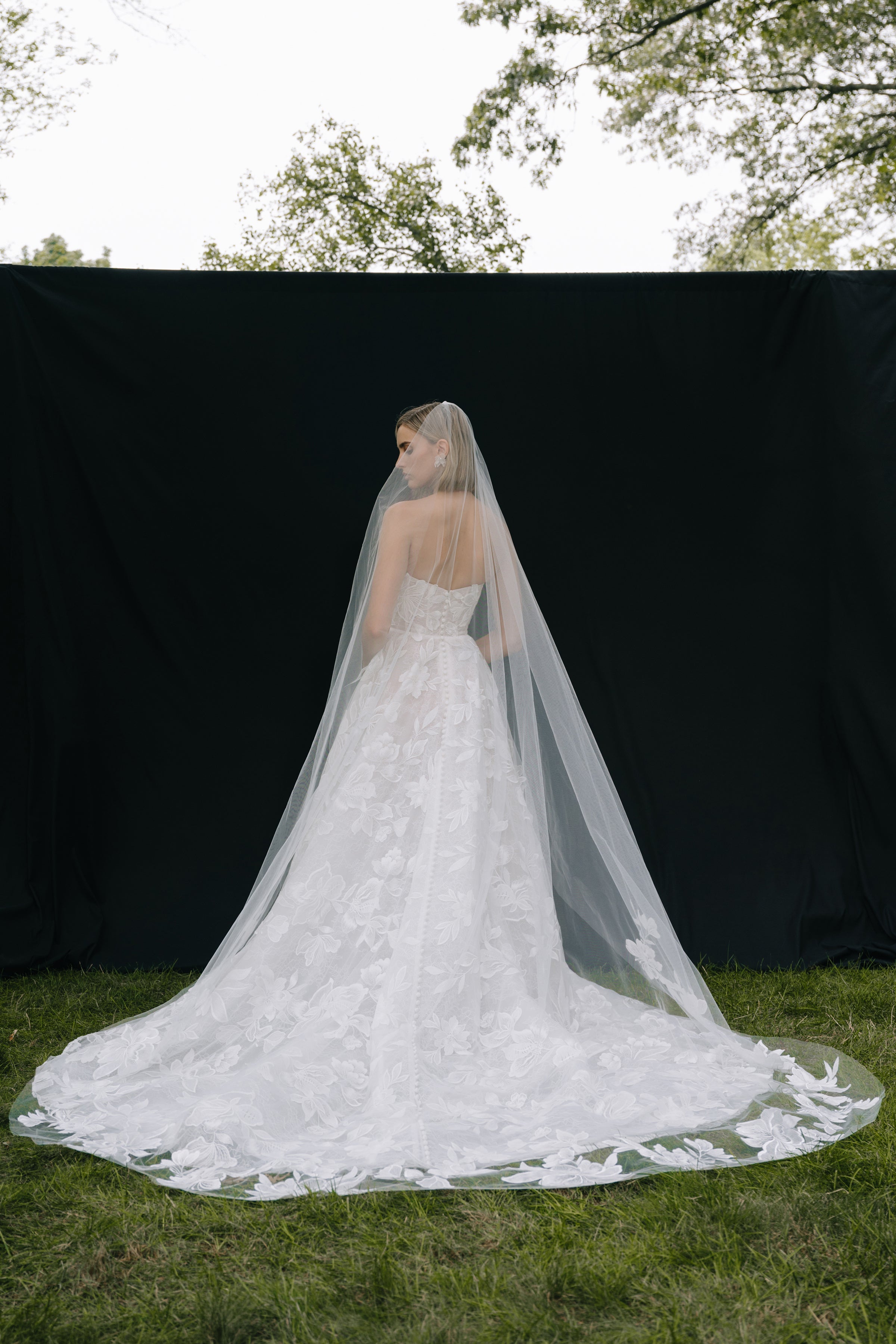 GWENDOLYN VEIL