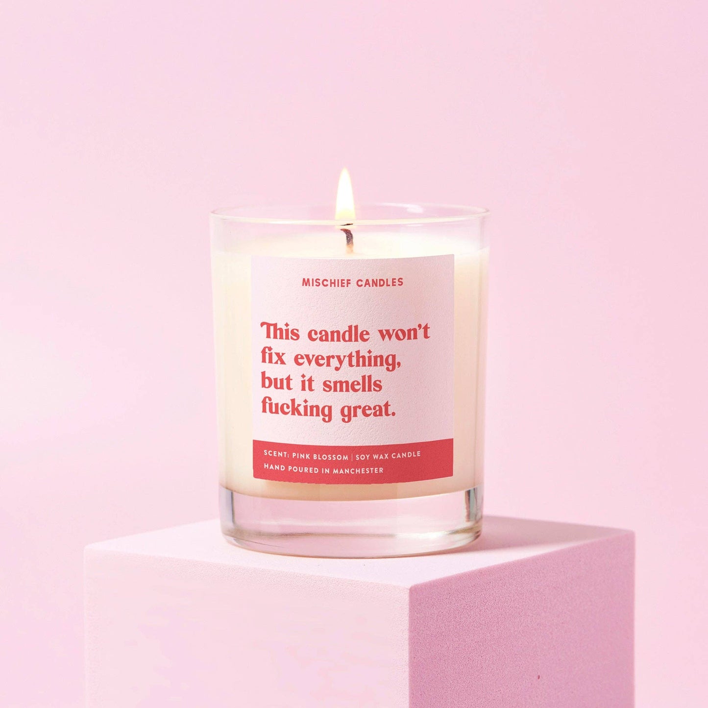 Funny Candle- This Candle Wont Fix Everything, But It Smells Fucking Great