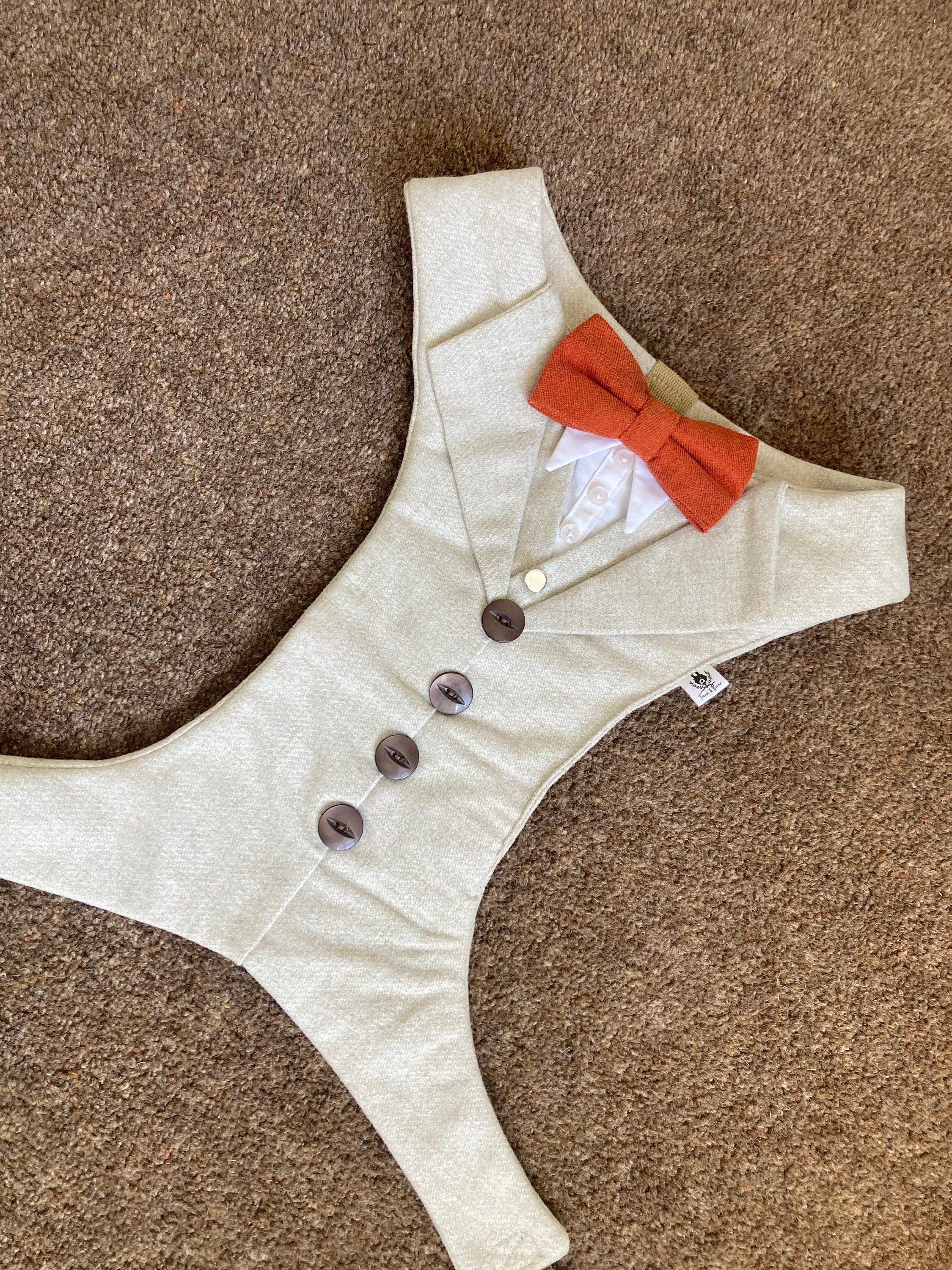 CREAM TWEED DOG TUXEDO