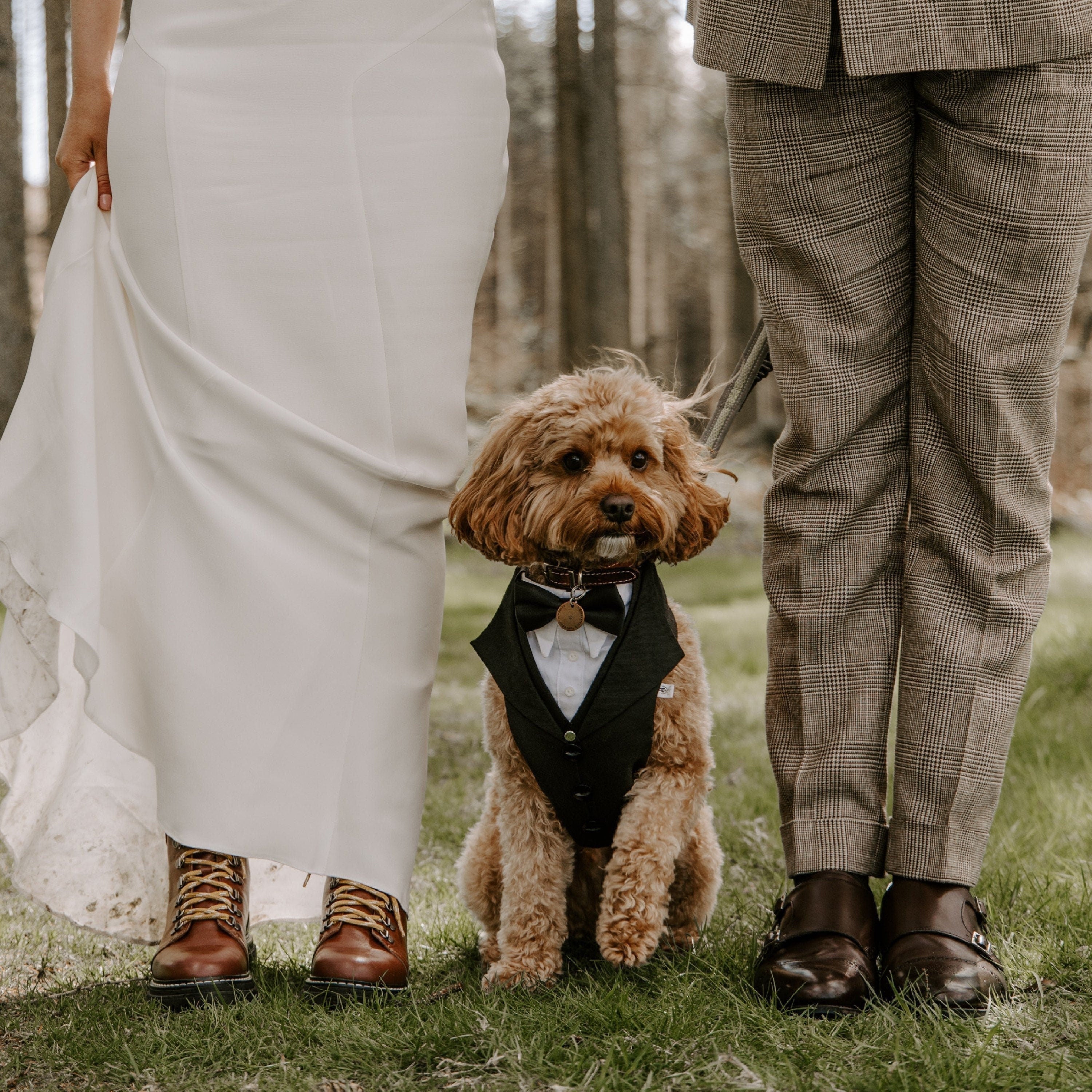 Dog tuxedo 2025 for wedding