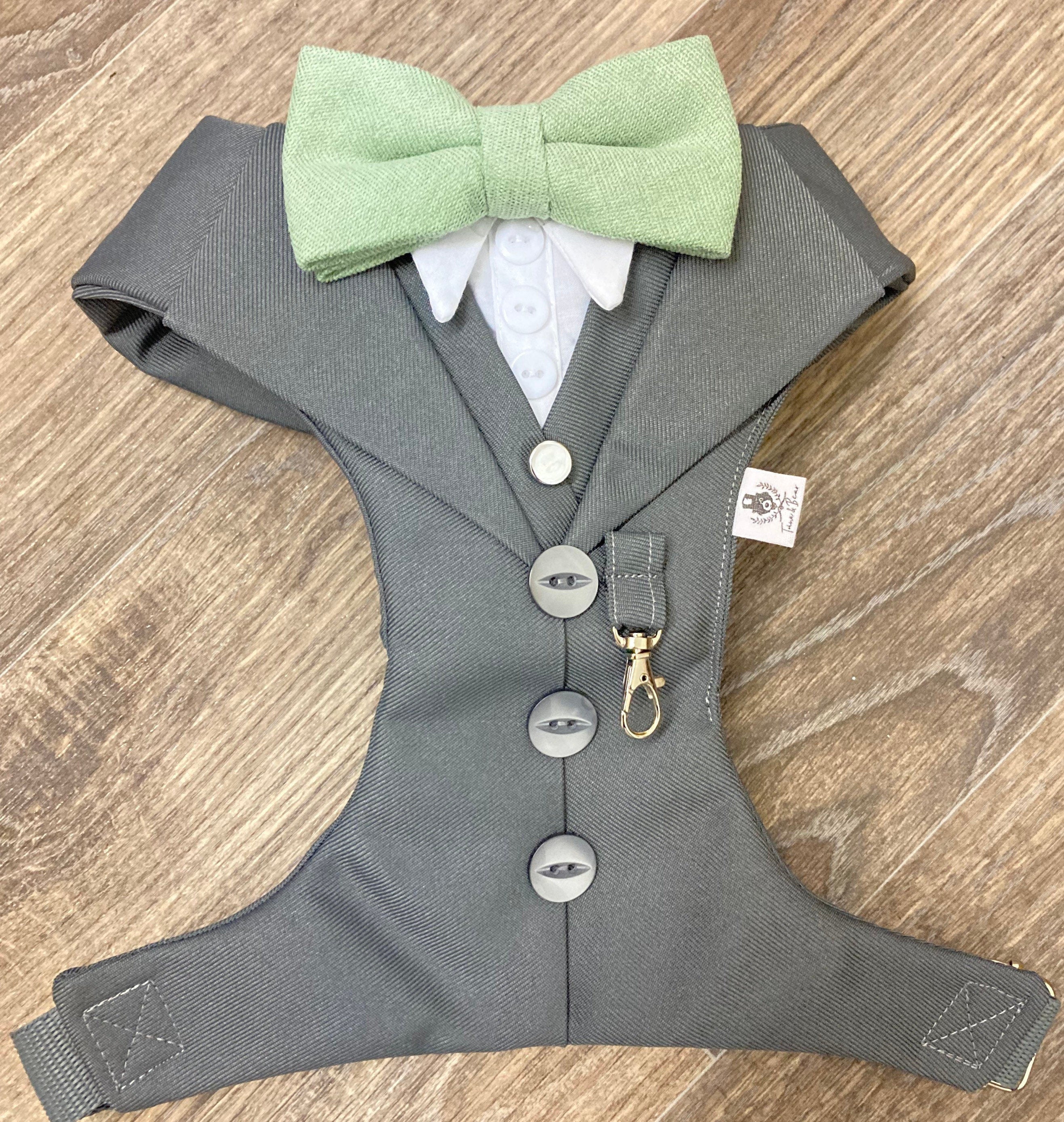 DOG RING BEARER ATTACHMENT